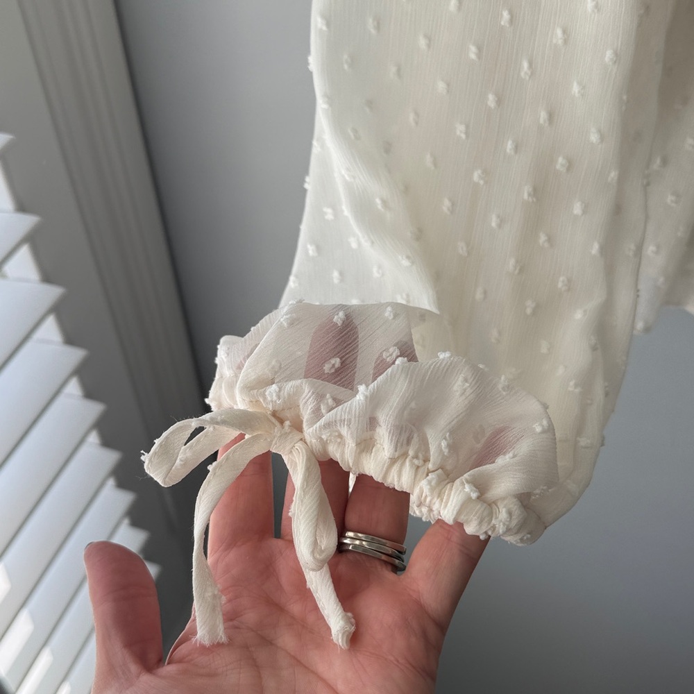 Zara Swiss Dot Sheer Button Down Blouse - Picture 8 of 11